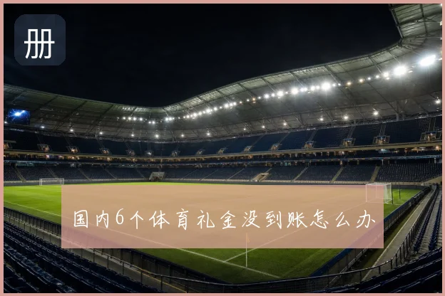 国内6个体育礼金没到账怎么办
